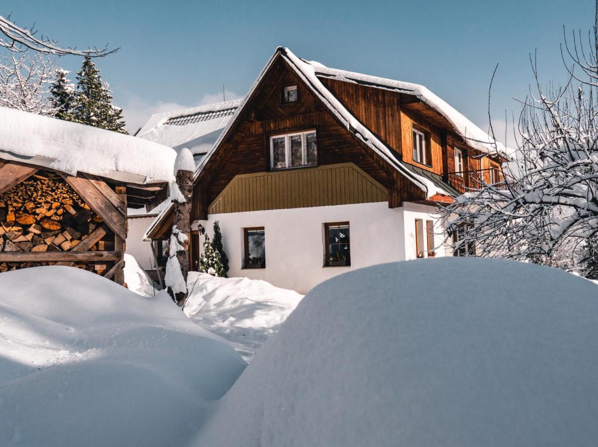 Apartman Karel A Martina Rokytnice nad Jizerou Luaran gambar